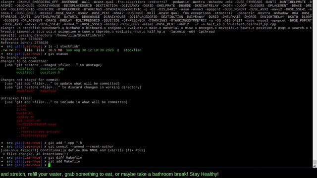 CODING Multi-Variant Stockfish without NNUE смотреть онлайн