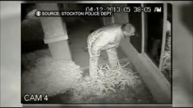 I`M ALWAYS LOOKING THROUGH OTHER PEOPLE`S WINDOWS by THE FORGOTTEN COWBOY смотреть онлайн