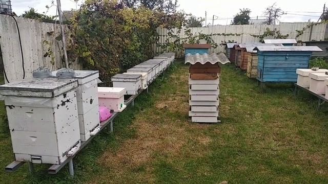 Просушка рамок и кормушек. Пчеловодство 45 смотреть онлайн