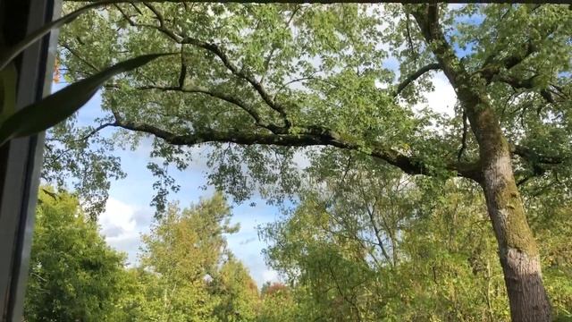 listen to me recite a poem while i look out the window смотреть онлайн