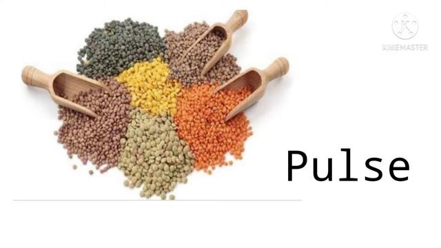 Learn kids Rice , Wheat flour , Window Learning more Children смотреть онлайн