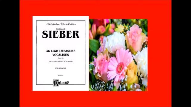 20 SIEBER OP 94 8 MEAS VOC ALTO смотреть онлайн