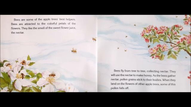 How Do Apples Grow смотреть онлайн