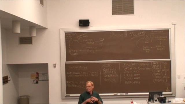 Veterinary Technology Training - Parasites смотреть онлайн