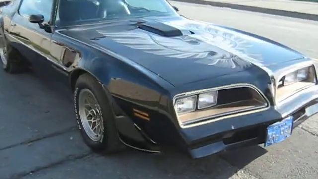 1977 Black Pontiac Firebird Trans Am Walkaround смотреть онлайн