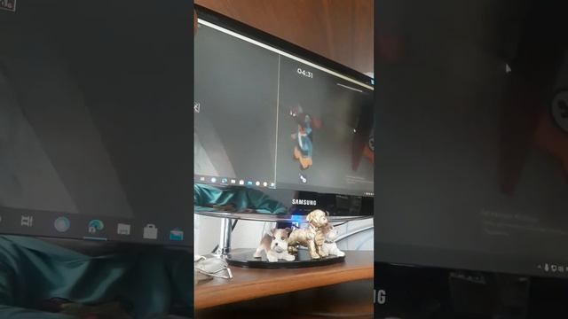 Играю в пигги первое видео с компа Roblox Piggy смотреть онлайн