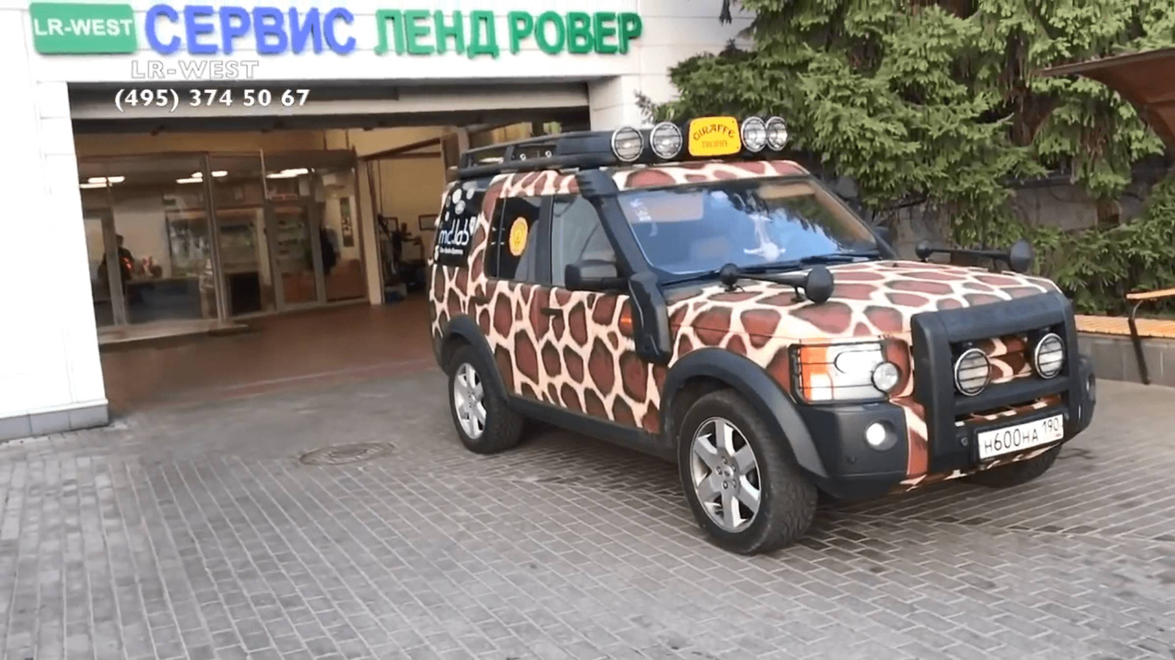 Ленд Ровер Дискавери Жираф-трофи смотреть онлайн