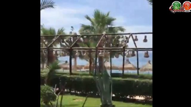 Grand Sunlife Hotel 4* (обзор отеля)...