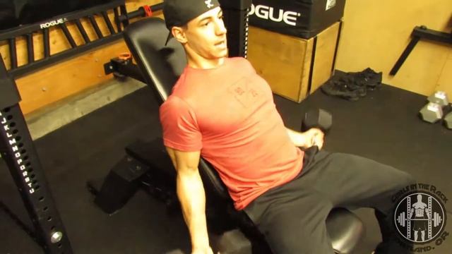 Seated Incline Dumbell Curls смотреть онлайн