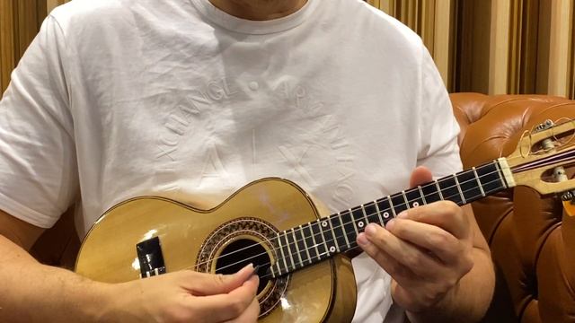 Aula 20 - Cavaquinho / Mentoria de cavaco com Lincoln de Lima смотреть онлайн