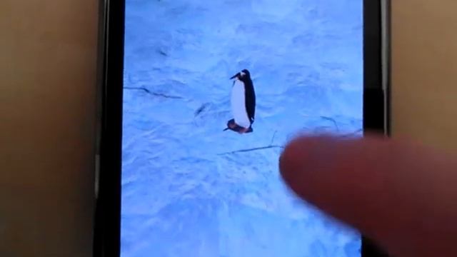 Android Best Penguin 3D Live Wallpaper смотреть онлайн