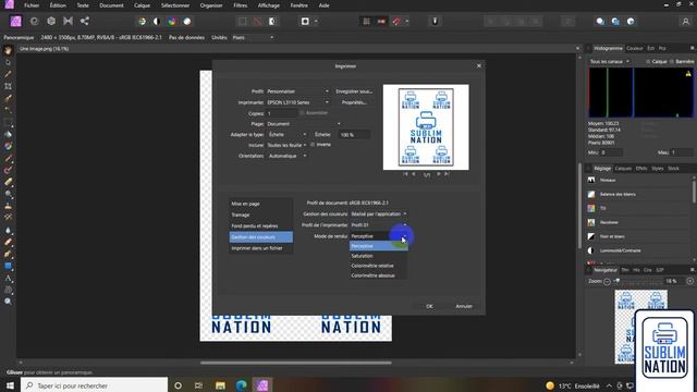 Imprimer avec un profil de couleur (icc) et un profil d'impression (lire descriptif) смотреть онлайн