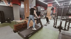 Беговая дорожка профессиональная BRONZE GYM T900M