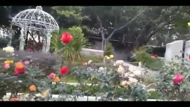 ROSE GARDEN(HONGKONG)