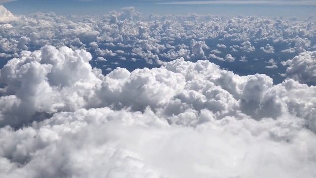 iPhone 7 plus 128 gb jet black 2x zoom test from Cathy pacific смотреть онлайн