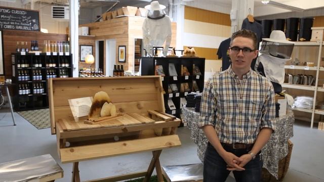 Matt Reed of Bee Thinking | HoneyLove—Urban Beekeepers смотреть онлайн