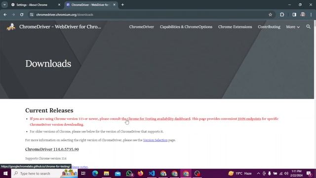 How to Download Chrome Driver 122 version #chromedriver #webdriver #selenium смотреть онлайн