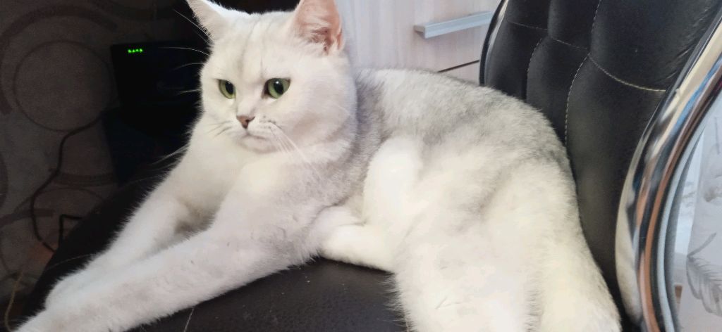 🌼💐Обзор на моё Рабочее место и.т.п.🐼