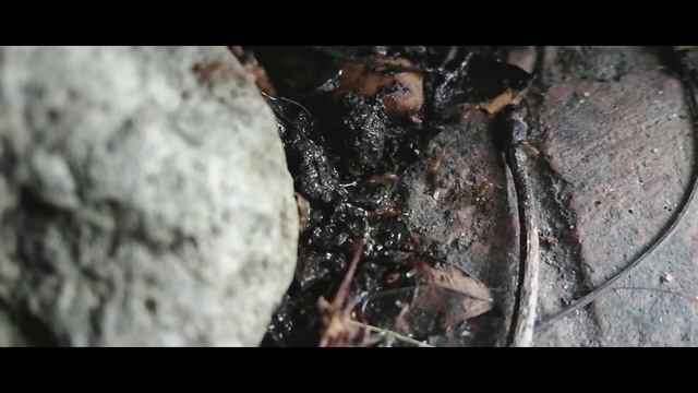 Asus ZenFone Go 5.5 Cinematic Test смотреть онлайн