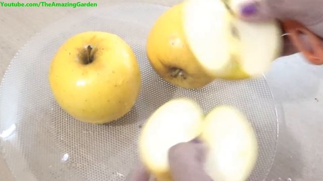Yellow apple смотреть онлайн