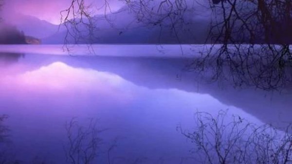 Dan Mccafferty "Southern Cross"