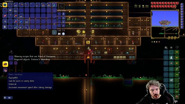 Панда vs. Terraria: Journey's End - Episode 38 смотреть онлайн