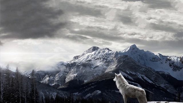 Mitis - Open Window Feat. Anna Yvette (Original Mix) смотреть онлайн