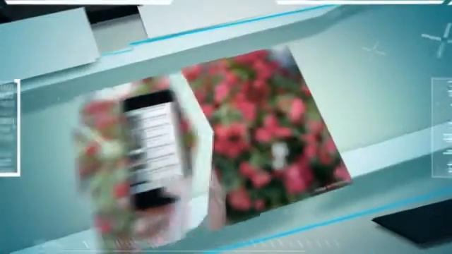 Webcams Viewer iOS iPhone, Android, WP app CCTV surveillance live cams, webcams, security IP camera смотреть онлайн