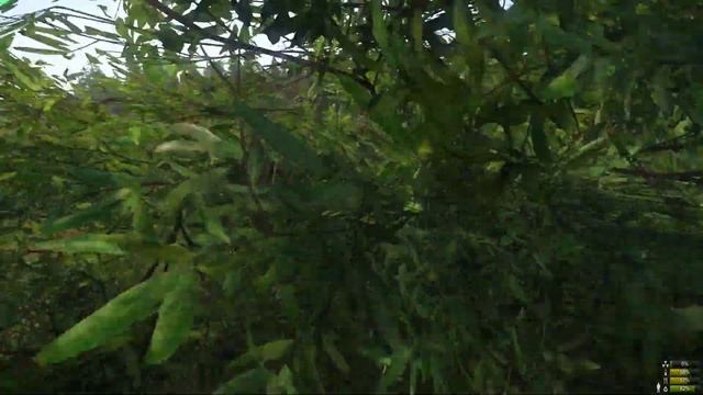 Miscreated RUSSIAN BEARS SERVERS Встреча с новичком смотреть онлайн