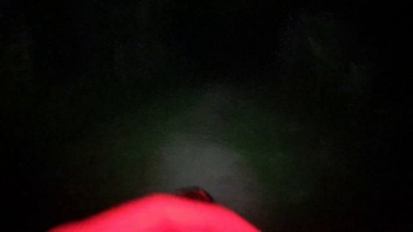 Imalent LD70 Outdoorvorstellung im Wald - 4000 Lumen