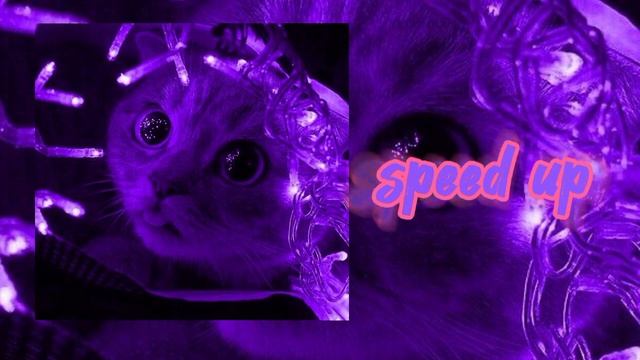 Тамада - Speed Up #speed #рекомендации