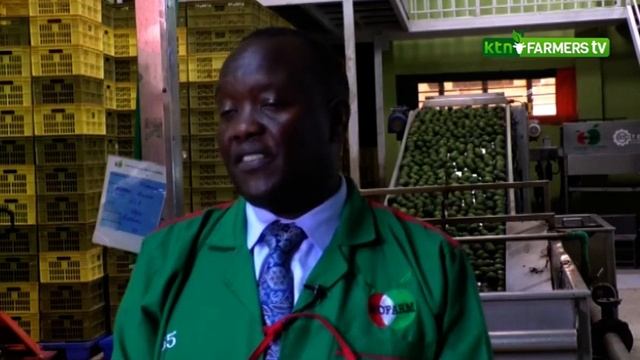 A new export market for Avocado farmers смотреть онлайн