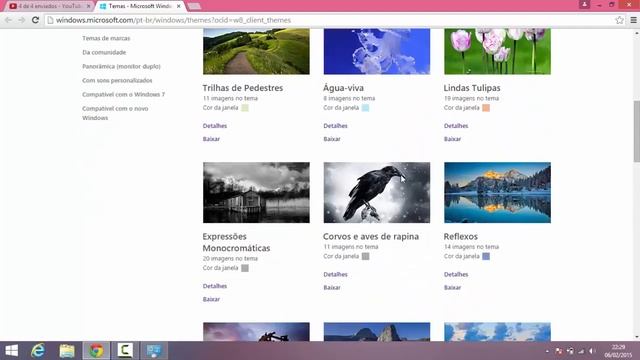 Aula 05 - Pastas e Personalização - Curso Windows 8.1 смотреть онлайн