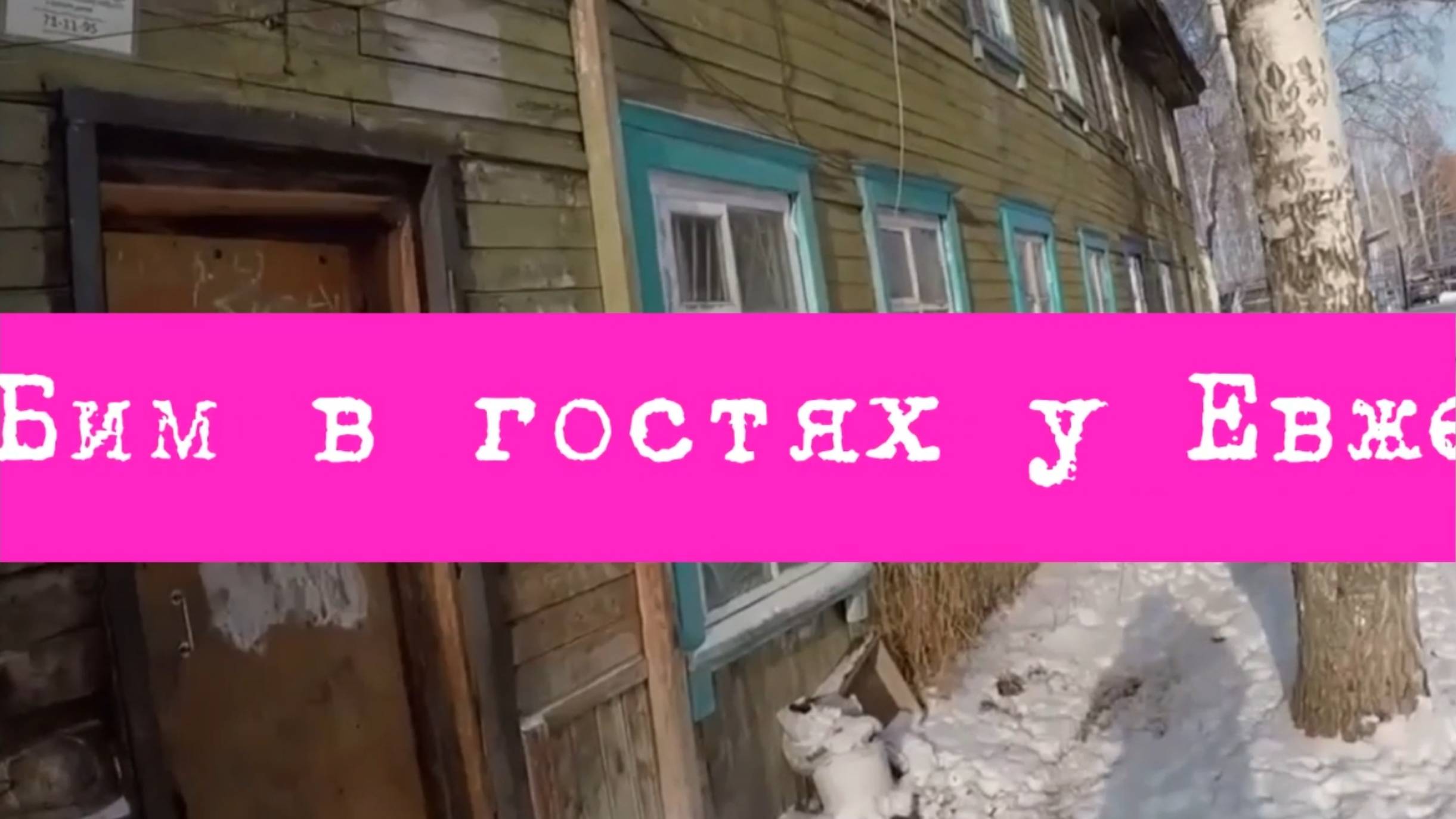 МУМИЛЕЙ 03. Бим в гостях у Евжения смотреть онлайн