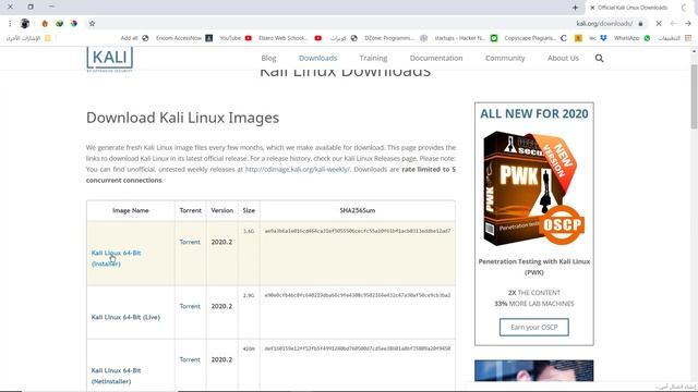 كيفية تحميل كالي لينكس 2020 للويندوز| How To Download Kali Linux ? смотреть онлайн