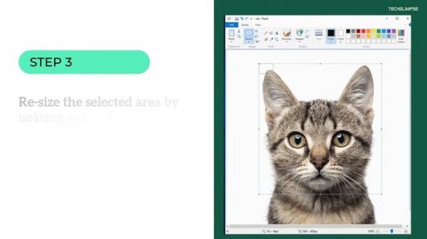 How to Blur Text or Image in Microsoft Paint?