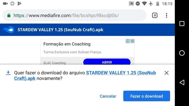 SAIU!!! NOVA VERSÃO (v1.25) DE STARDEW VALLEY PARA ANDROID APK + OBB смотреть онлайн