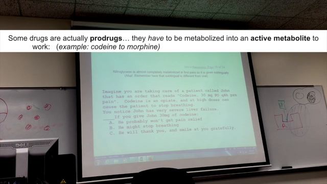 LectureWeek 2 Part 3/3 Metabolism Excretion and Placebo Effect смотреть онлайн