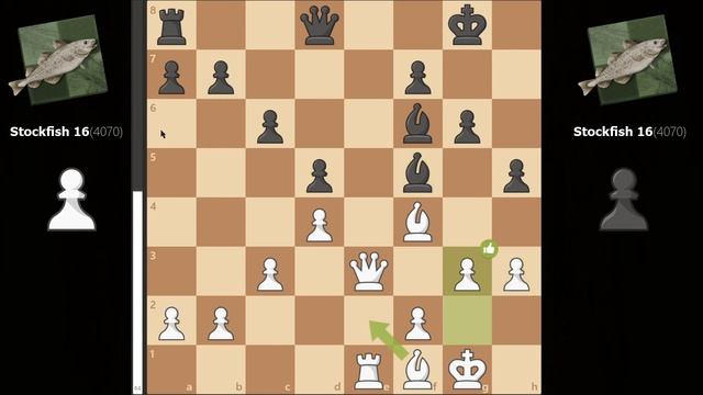 I Made Stockfish 16 Play Against Itself.. смотреть онлайн