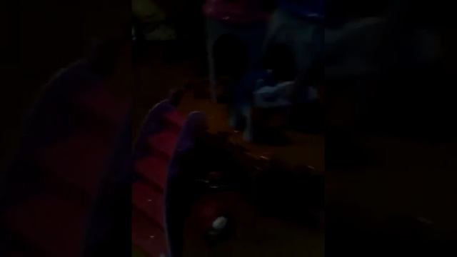 Замок Принцессы Кейденс и Шайнинг Армора. смотреть онлайн