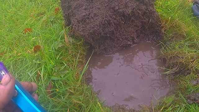 Metal Detecting In The UK | #metaldetecting #metaldetectingfinds #noktamakrosimplex смотреть онлайн