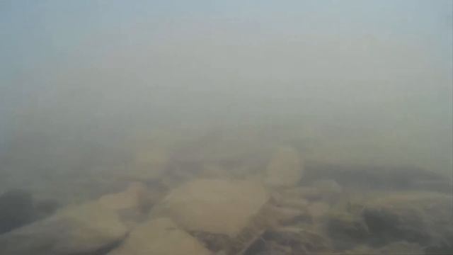 Погружаю камеру под воду в маленькой реке смотреть онлайн