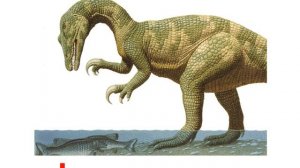 Презентация для детей по Доману. Динозавры