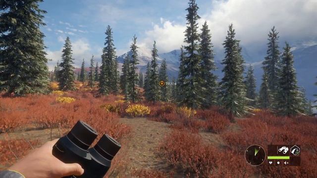 Call of the wild Охотимся , общаемся ... смотреть онлайн