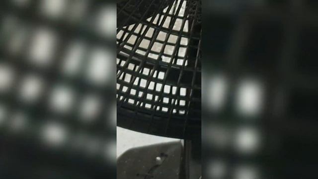 Atualização oficial? 🤯 Port ROM - OneUI 5.1 com Android 13 para a linha Galaxy S10 😍📲 смотреть онлайн