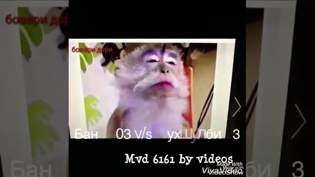 Баноз и мухшулби кто из них красива 😂 смотреть онлайн