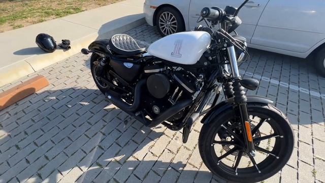 Honest Review - Upgrading Honda Rebel To Harley Davidson Iron 883😱😤 #hondarebel300 #harleydavidson