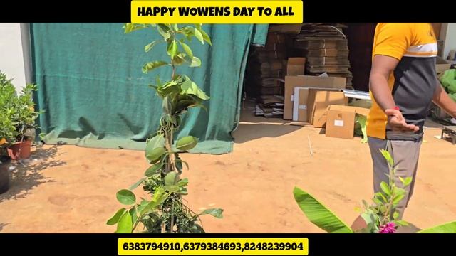 HAPPY WOMEN'S DAY TO ALL ONLINE ORDER PLANTS PACKING TO FREE GIFT PLANTS DISPATCH смотреть онлайн