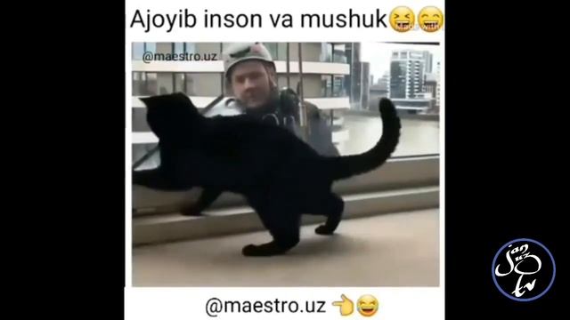 Daxshat Videolar #7 Bu Videoni Kormasela Bomidi. Jinnicha Prikollar Ko'p