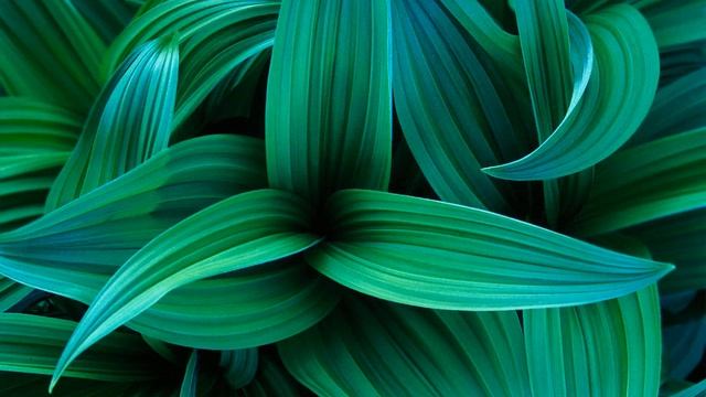 Windows 7 Garden Sound Effects смотреть онлайн